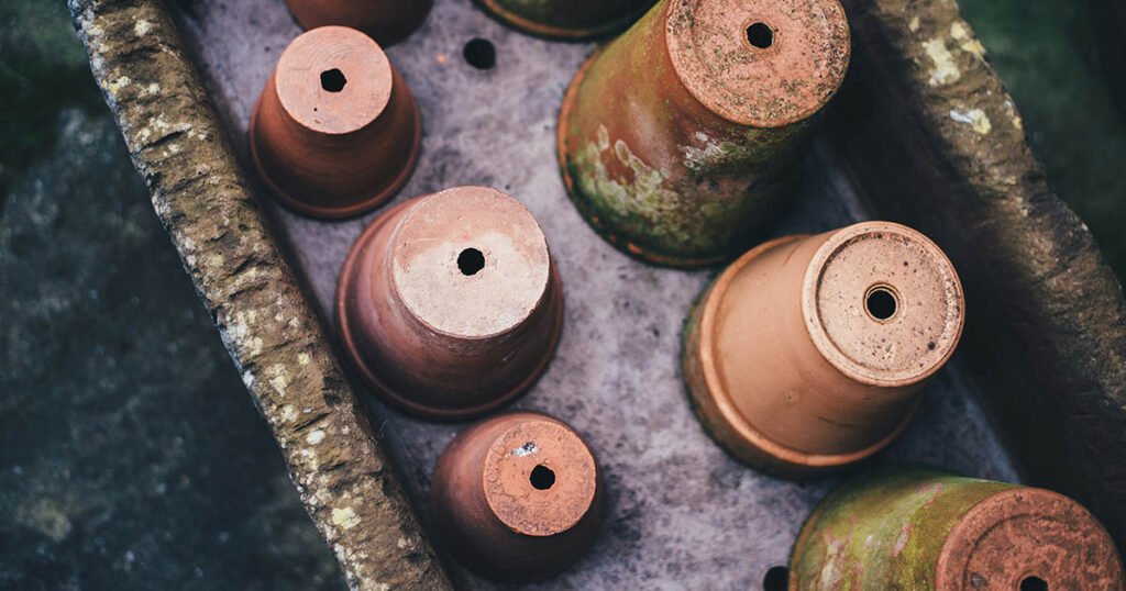 Plant pots with a single drainage hole allowing for adequate drainage.
