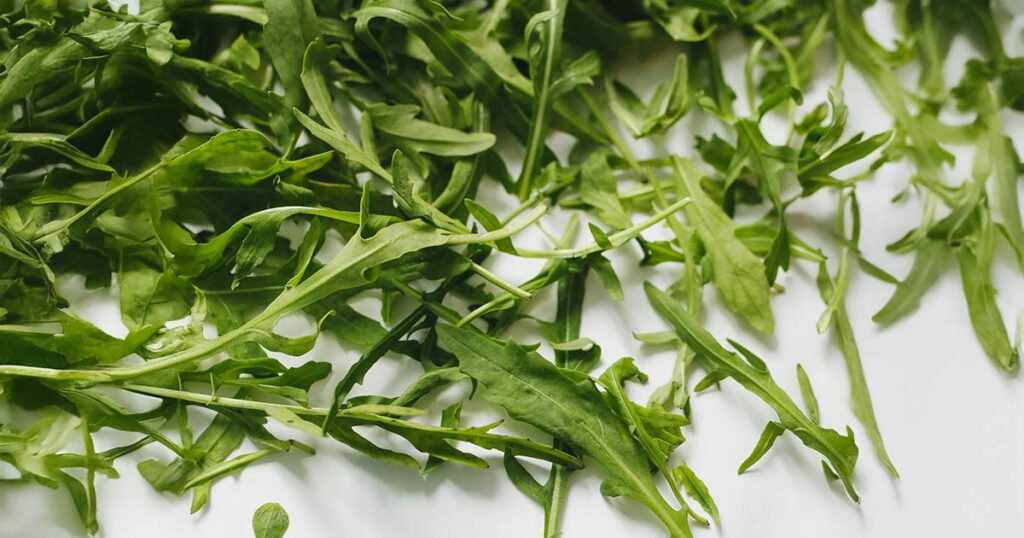 Rocket, a popular vegetable for salads.